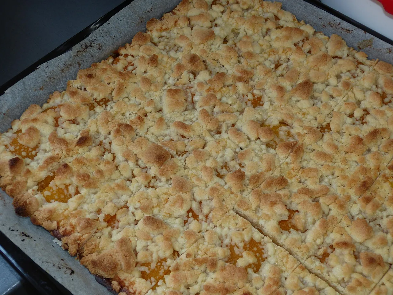 Gesunder Leindotter Steuselkuchen von der Ölmühle Bayreuth