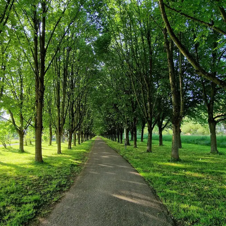 Baille Maille Allee Himmelkron