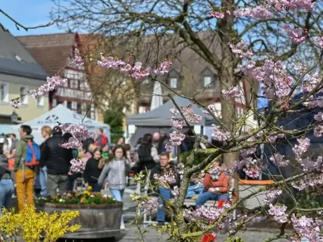 EBSer Frühjahrsmarkt