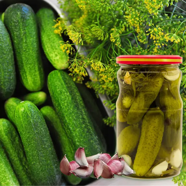 Gurken Workshop - Einmachen und Konservieren wie früher (für den Winter)