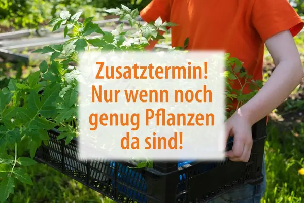 🍅 Tomatenpflanzen Verkauf und Beratung 🍅 – Zusatztermin wenn noch genug Pflanzen da sind!